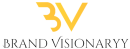 brand visionaryy logo